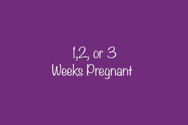 1, 2, or 3 Weeks Pregnant—Early Signs & Symptoms